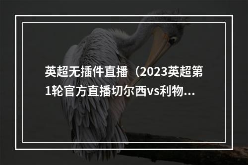 英超无插件直播（2023英超第1轮官方直播切尔西vs利物浦中文高清全程）