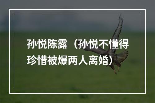 孙悦陈露（孙悦不懂得珍惜被爆两人离婚）