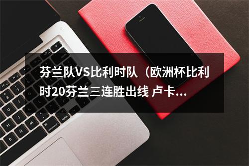 芬兰队VS比利时队（欧洲杯比利时20芬兰三连胜出线 卢卡库破门 维尔马伦造乌龙）