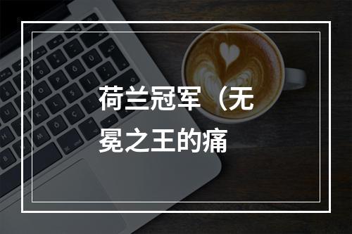 荷兰冠军（无冕之王的痛