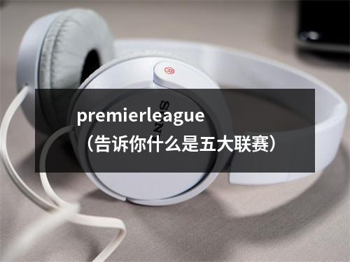 premierleague（告诉你什么是五大联赛）
