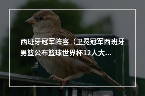 西班牙冠军阵容（卫冕冠军西班牙男篮公布篮球世界杯12人大名单）