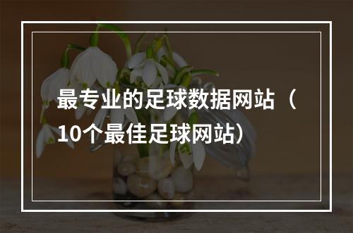 最专业的足球数据网站（10个最佳足球网站）