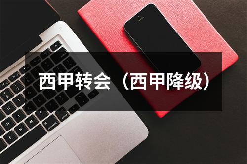 西甲转会（西甲降级）