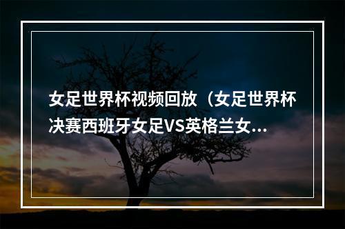 女足世界杯视频回放（女足世界杯决赛西班牙女足VS英格兰女足中文高清在线完整）