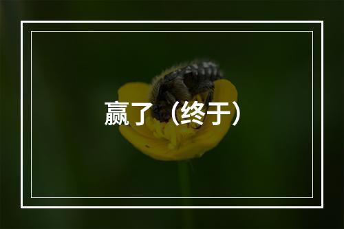 赢了（终于）