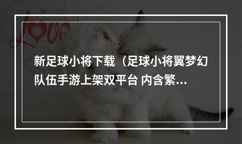 新足球小将下载（足球小将翼梦幻队伍手游上架双平台 内含繁体中文版）