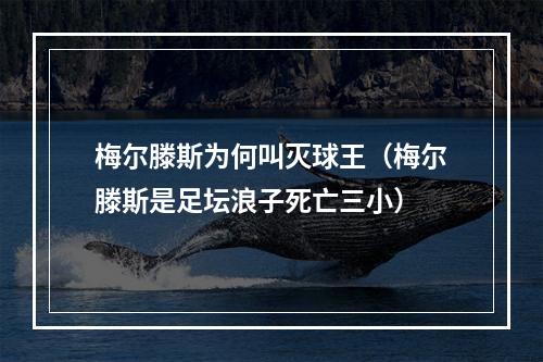 梅尔滕斯为何叫灭球王（梅尔滕斯是足坛浪子死亡三小）