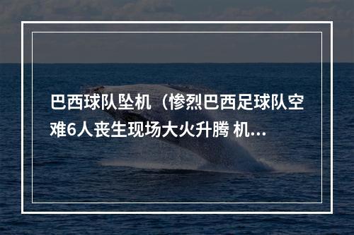 巴西球队坠机（惨烈巴西足球队空难6人丧生现场大火升腾 机体被烧焦）