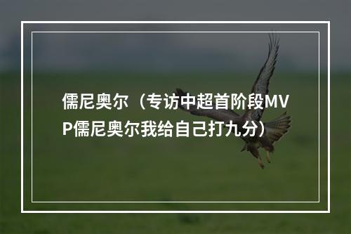 儒尼奥尔（专访中超首阶段MVP儒尼奥尔我给自己打九分）