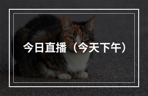 今日直播（今天下午）