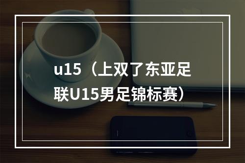 u15（上双了东亚足联U15男足锦标赛）