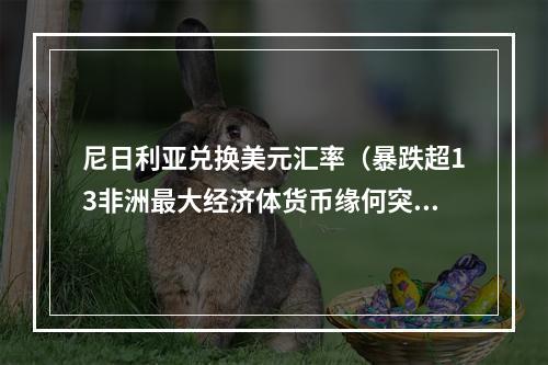尼日利亚兑换美元汇率（暴跌超13非洲最大经济体货币缘何突然贬值）