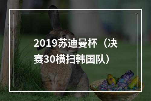 2019苏迪曼杯（决赛30横扫韩国队）