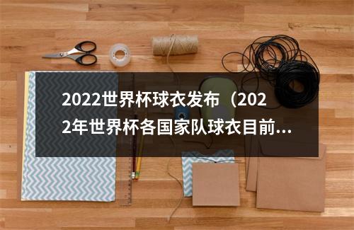 2022世界杯球衣发布（2022年世界杯各国家队球衣目前已经发布的）