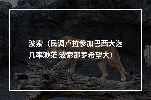 波索（民调卢拉参加巴西大选几率渺茫 波索那罗希望大）