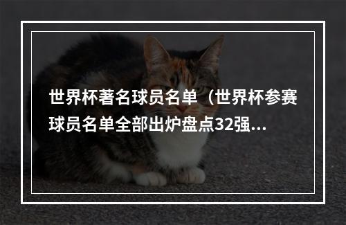 世界杯著名球员名单（世界杯参赛球员名单全部出炉盘点32强中的那些最）