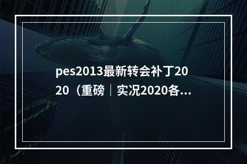 pes2013最新转会补丁2020（重磅｜实况2020各球队完整能力值曝光21升黑球员确认）