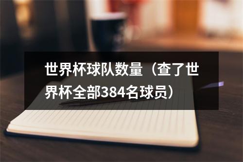 世界杯球队数量（查了世界杯全部384名球员）