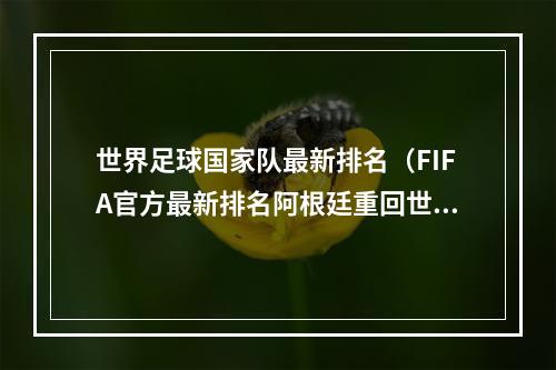 世界足球国家队最新排名（FIFA官方最新排名阿根廷重回世界第1 中国男足世界第81亚洲第11）