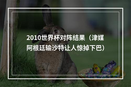 2010世界杯对阵结果（津媒阿根廷输沙特让人惊掉下巴）