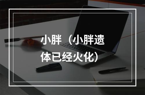 小胖（小胖遗体已经火化）