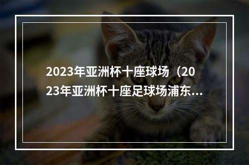 2023年亚洲杯十座球场（2023年亚洲杯十座足球场浦东足球场凤凰山体育场已竣工）
