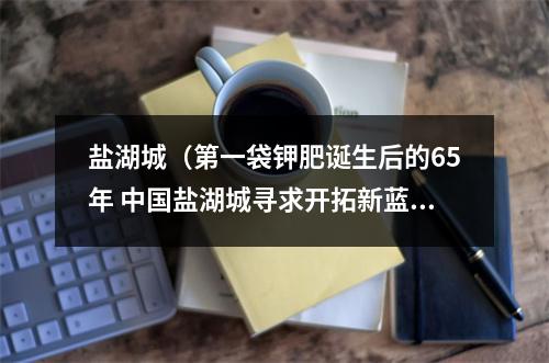 盐湖城（第一袋钾肥诞生后的65年 中国盐湖城寻求开拓新蓝海）
