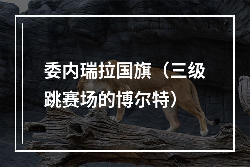 委内瑞拉国旗（三级跳赛场的博尔特）