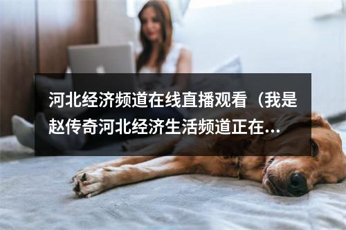 河北经济频道在线直播观看（我是赵传奇河北经济生活频道正在播出一部草根英雄的百变传奇）