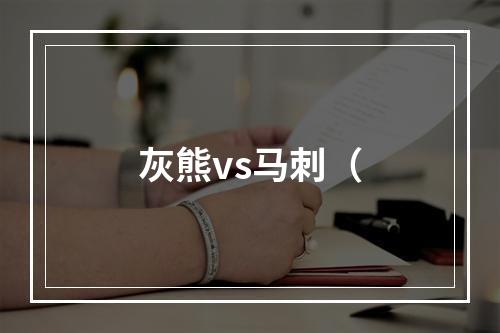 灰熊vs马刺（