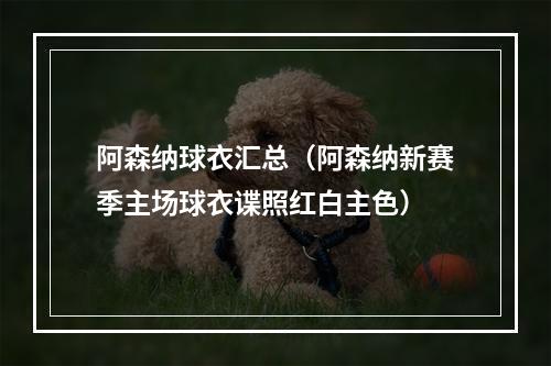 阿森纳球衣汇总（阿森纳新赛季主场球衣谍照红白主色）