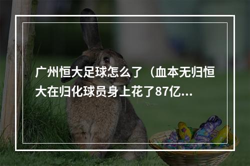 广州恒大足球怎么了（血本无归恒大在归化球员身上花了87亿）