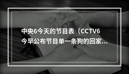 中央6今天的节目表（CCTV6今早公布节目单一条狗的回家路敦刻尔克）