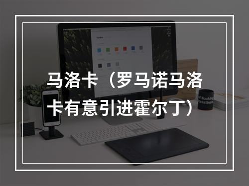 马洛卡（罗马诺马洛卡有意引进霍尔丁）