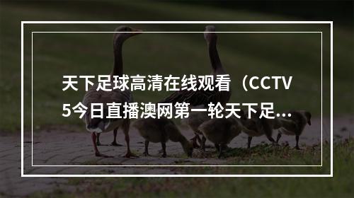 天下足球高清在线观看（CCTV5今日直播澳网第一轮天下足球）