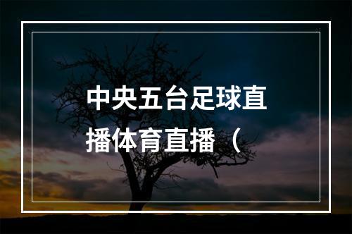 中央五台足球直播体育直播（