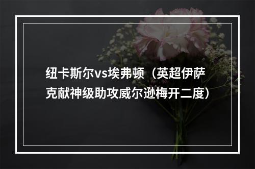 纽卡斯尔vs埃弗顿（英超伊萨克献神级助攻威尔逊梅开二度）
