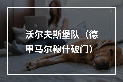 沃尔夫斯堡队（德甲马尔穆什破门）