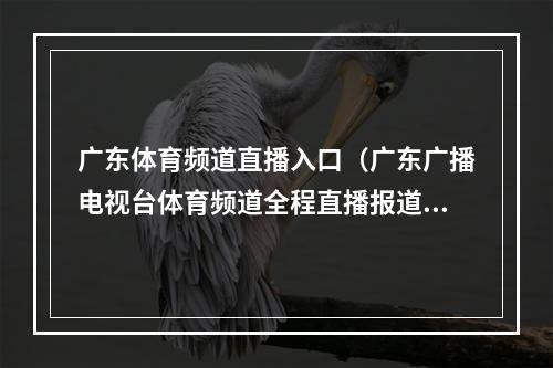 广东体育频道直播入口（广东广播电视台体育频道全程直播报道东京奥运会）