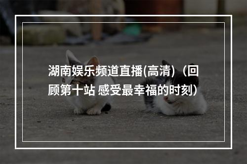 湖南娱乐频道直播(高清)（回顾第十站 感受最幸福的时刻）