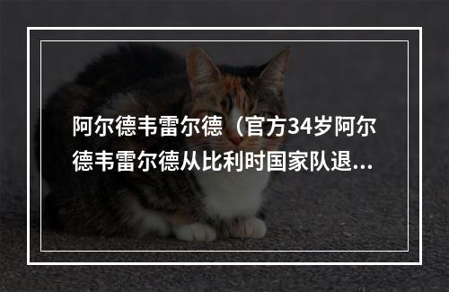 阿尔德韦雷尔德（官方34岁阿尔德韦雷尔德从比利时国家队退役）