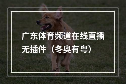 广东体育频道在线直播无插件（冬奥有粤）