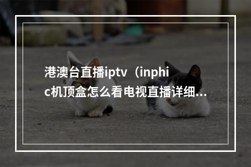 港澳台直播iptv（inphic机顶盒怎么看电视直播详细操作教程教你5分钟搞定）