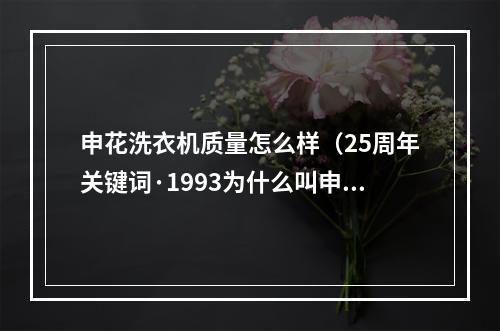 申花洗衣机质量怎么样（25周年关键词·1993为什么叫申花看看徐根宝制定的第一份工资单）