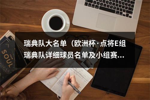 瑞典队大名单（欧洲杯·点将E组瑞典队详细球员名单及小组赛程）