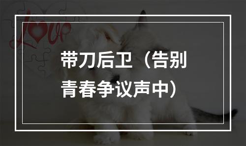 带刀后卫（告别青春争议声中）