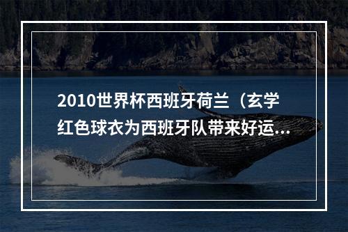 2010世界杯西班牙荷兰（玄学红色球衣为西班牙队带来好运）