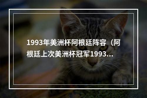 1993年美洲杯阿根廷阵容（阿根廷上次美洲杯冠军1993）