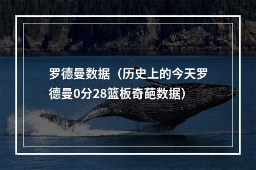 罗德曼数据（历史上的今天罗德曼0分28篮板奇葩数据）